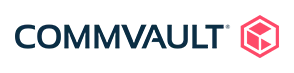 Technology partner