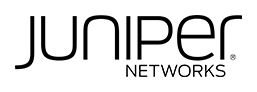 Technology partner